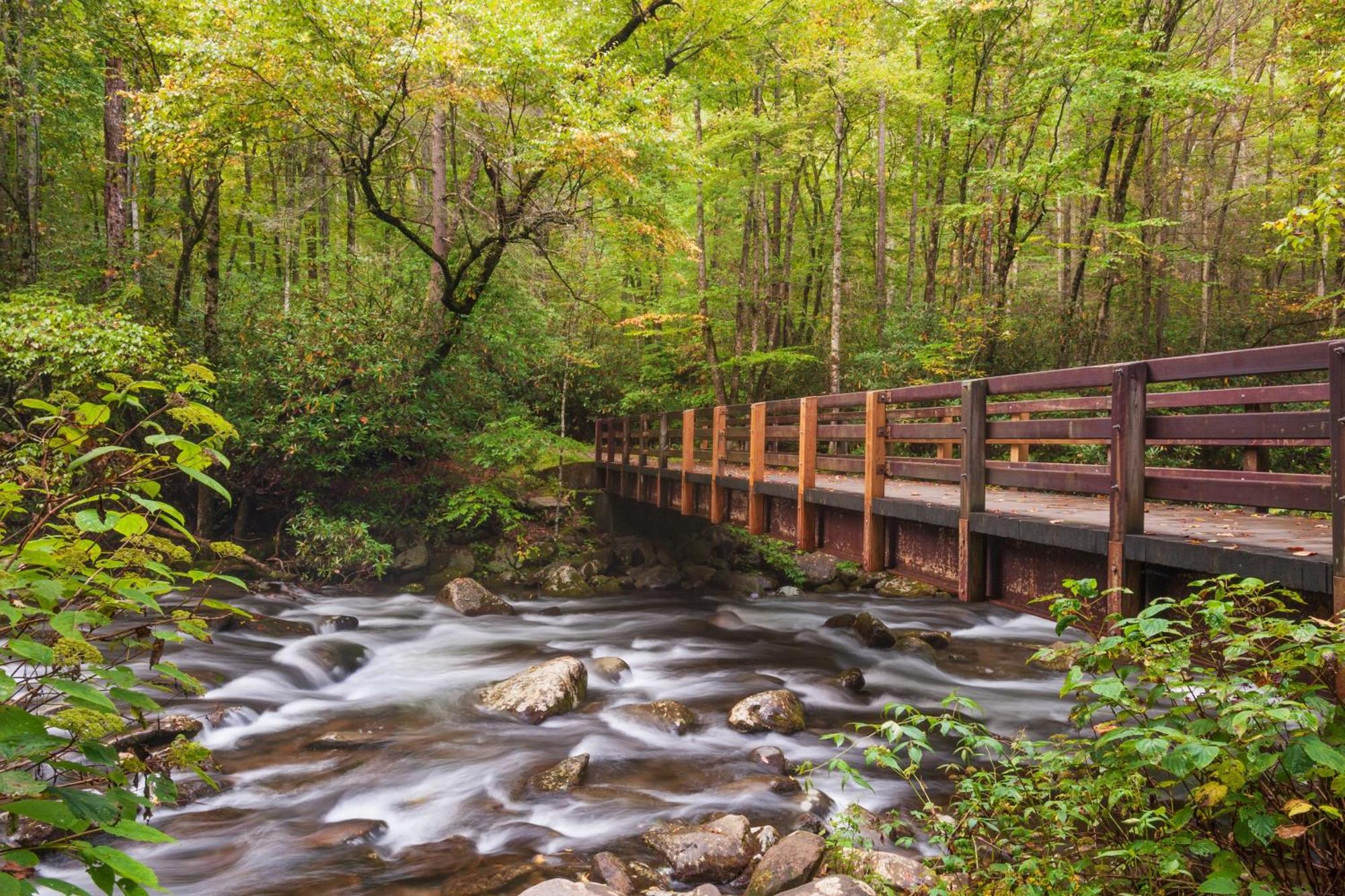 A Stones Throw, Get 1089 Free Attraction Tickets Per Paid Day, Dollywood And Much More! Сasa de vacaciones *